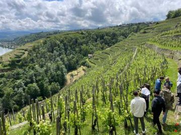 Vallée du Rhône Nord - Journée complète